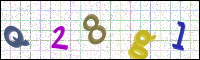 Image Verification