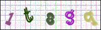 Image Verification
