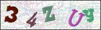 Image Verification