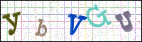 Image Verification