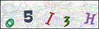 Image Verification