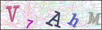 Image Verification