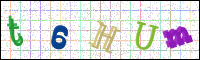 Image Verification