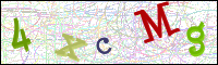 Image Verification