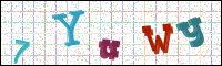 Image Verification