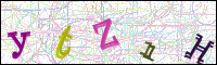 Image Verification