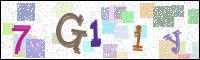 Image Verification