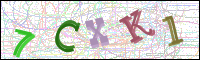 Image Verification