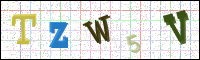 Image Verification