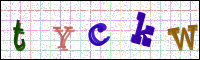 Image Verification