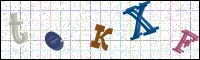 Image Verification