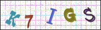 Image Verification