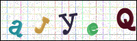 Image Verification