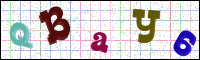 Image Verification