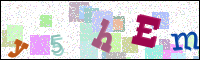 Image Verification