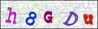 Image Verification