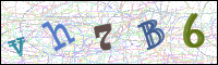 Image Verification