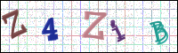 Image Verification
