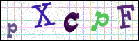 Image Verification