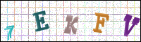 Image Verification