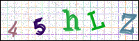 Image Verification