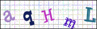 Image Verification