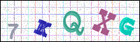 Image Verification
