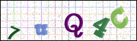 Image Verification
