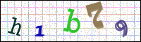 Image Verification