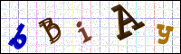 Image Verification
