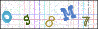 Image Verification