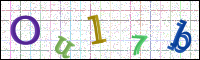 Image Verification