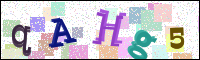 Image Verification