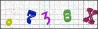 Image Verification