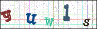 Image Verification