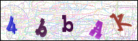 Image Verification