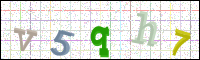 Image Verification