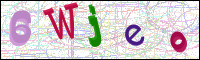 Image Verification