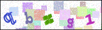 Image Verification