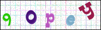 Image Verification