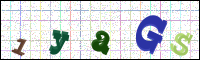 Image Verification