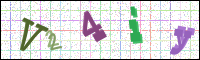 Image Verification