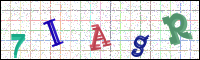 Image Verification