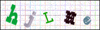 Image Verification
