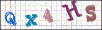 Image Verification