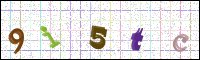 Image Verification