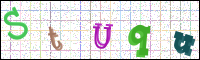 Image Verification